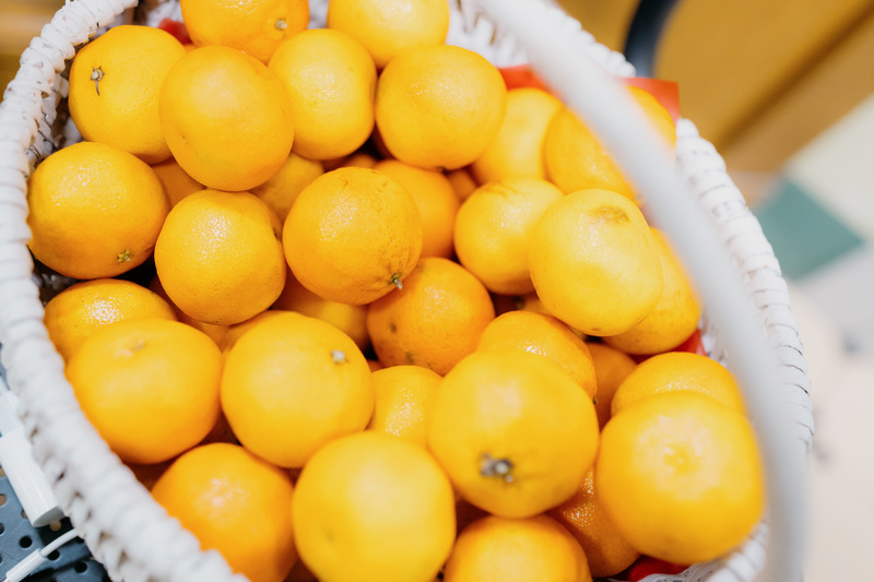 Новогодняя акция РГИСИ (2025 год)