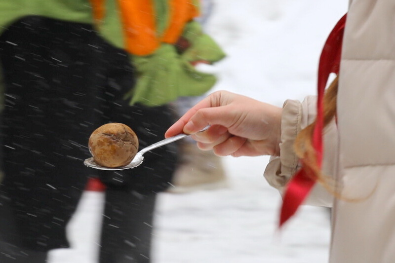 Масленица в РГИСИ (2026 год)